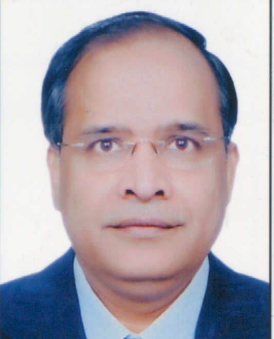 Vir D P Jain