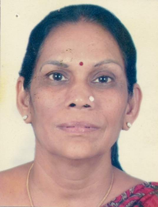 Vira Baskar N Parakh