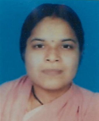 Vira Meena Madrecha