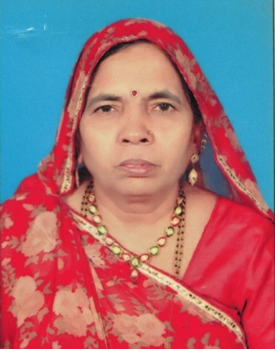 Vira Shanta T. Jain