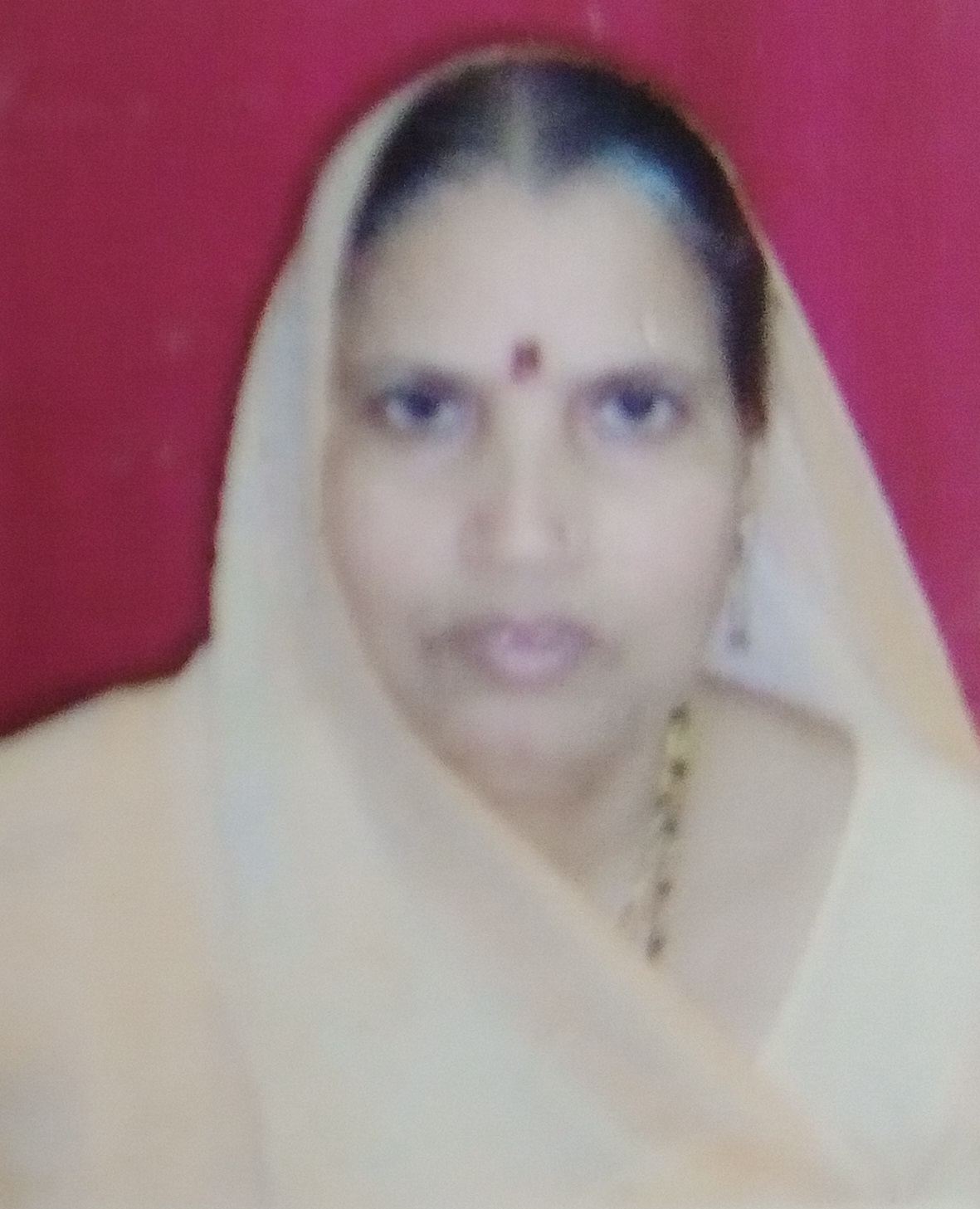 Vira Saubhayawati Pagariya Jain